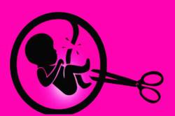 गर्भपातप्रकरणी डॉक्टरांविरुद्ध गुन्हा दाखल करण्याचे आदेश