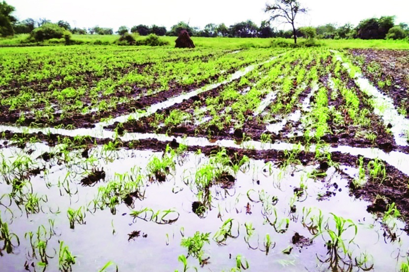 (संग्रहित छायाचित्र) (संग्रहित छायाचित्र)