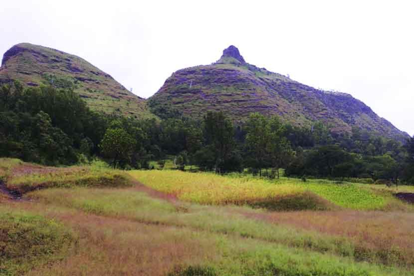 कात्रज टेकडी  फोडणारे मोकाट