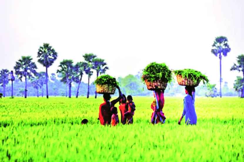 कृषिसेवा पूर्वपरीक्षा इंग्रजी प्रश्न विश्लेषण