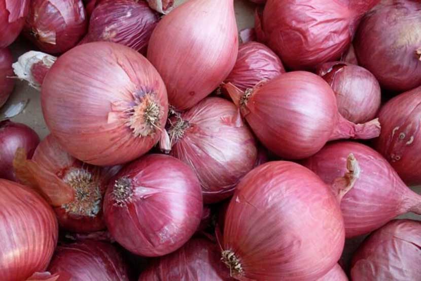 नाशिकमध्ये कांदादरात दोन हजारांनी घसरण