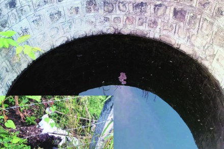 कोंढाण गावातील विहिरीत प्रदूषित पाणी