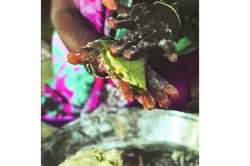 नाताळ मेवा : पालमुडय़ो