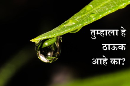 पाण्याचा थेंब गोलाकार का असतो?