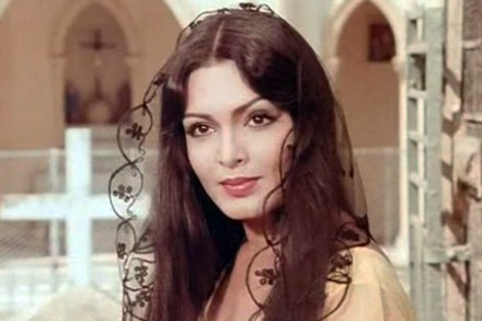 संग्रहित छायाचित्र  संग्रहित छायाचित्र