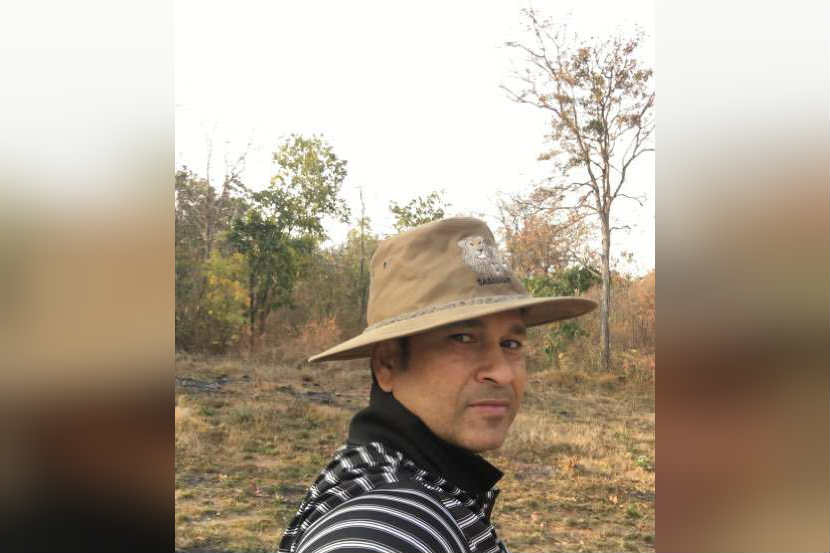 वाघोबाला पाहण्यासाठी ‘क्रिकेटचा देव’ ताडोबाच्या जंगलात