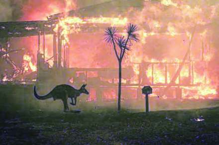 (संग्रहित छायाचित्र)