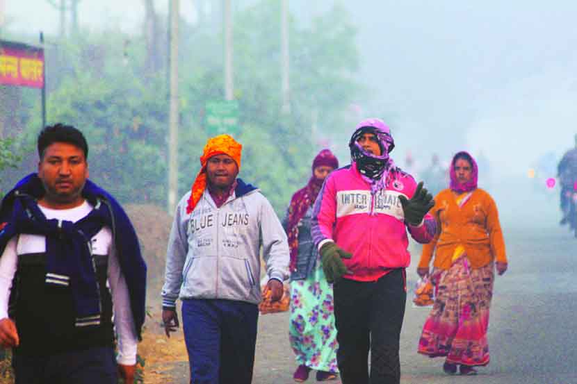 संग्रहित छायाचित्र