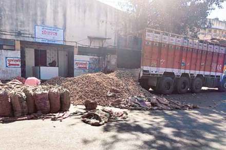 शौचालयासमोरच बटाटा प्रतवारी