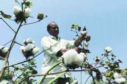 рд╡рд┐рджрд░реНрднрд╛рдЪреНрдпрд╛ рд╡рд┐рдХрд╛рд╕рд╛рдЪреА рд╡рд╛рдЯ..