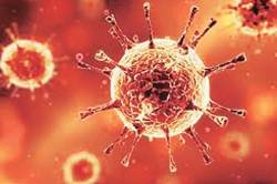 विषाणूच, पण..