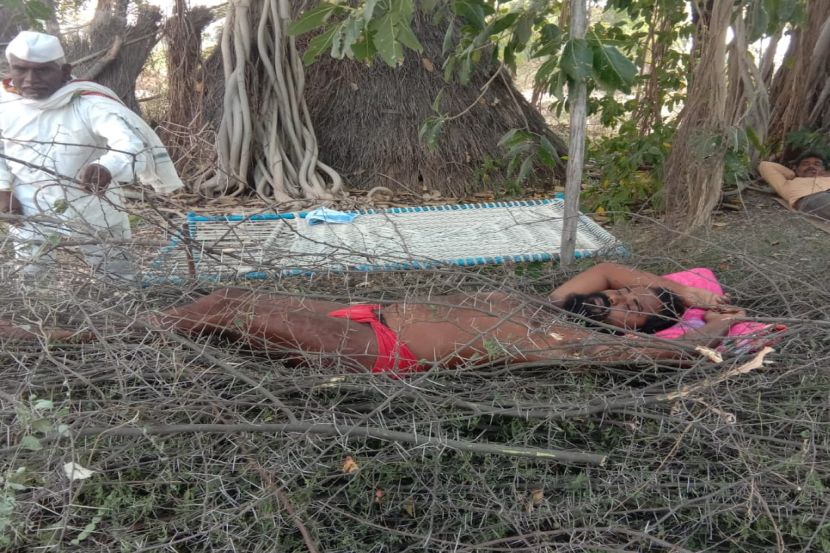 अरे बापरे! इंदुरीकरांना पाठिंबा देण्यासाठी बाभळीच्या काट्यावर झोपले भगवान महाराज