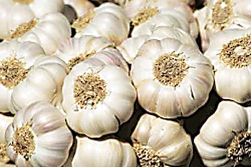 लसूण स्वस्त; गृहिणींना दिलासा