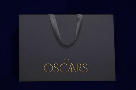 Oscars 2020 मध्ये मिळणाऱ्या गुडी बॅगची किंमत १.२ कोटी रुपये? असणार या गोष्टींचा समावेश