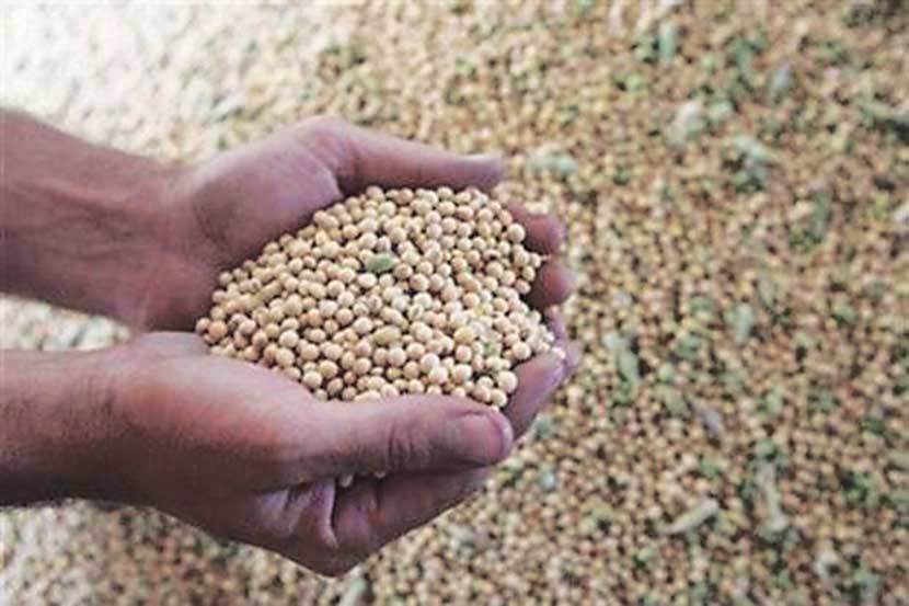 सोयाबीनच्या भावात पुन्हा घसरण