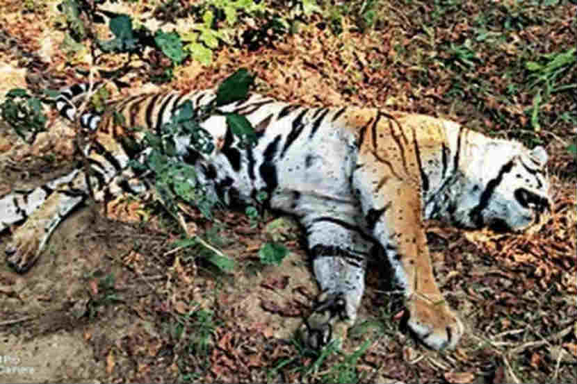 संग्रहित छायाचित्र