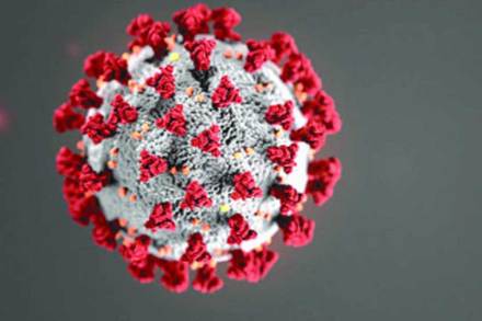 (संग्रहित छायाचित्र) (संग्रहित छायाचित्र)