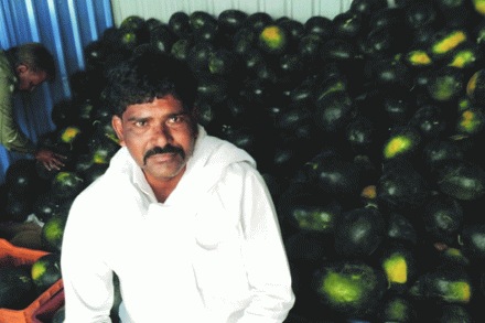 संग्रहित छायाचित्र