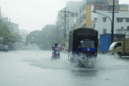 संग्रहित छायाचित्र