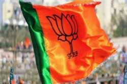 विधान परिषदेवर भाजपचे बावनकुळे की दटके?