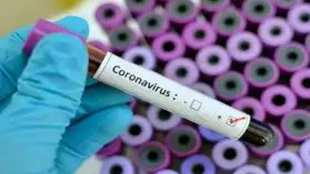 corona-virus-2