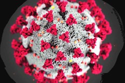 सूक्ष्म जीवांशी लढाई!