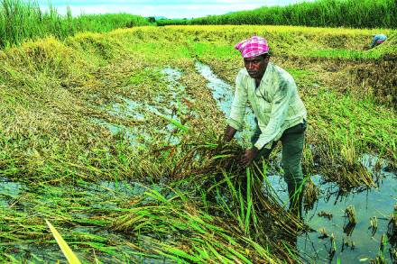गेल्या दोन दशकांत हवामान बदल, तापमान बदल हे शब्द अगदी सर्रास कानावर पडत आहेत.