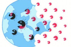 आपत्तीस सामोरे जाताना..