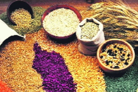 शहरासह जिल्ह्य़ात पुरेसा धान्यसाठा