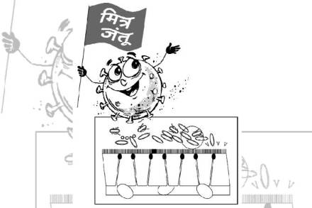 घरगुती ताजे पदार्थ खाल्ले तर प्रोबायोटिक म्हणून त्यांचा फायदा होतो, मात्र तेच पदार्थ प्रक्रिया करून केले असले तर त्याचा फायदा होत नाही.