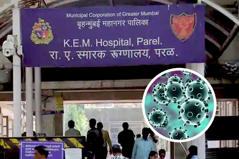  संग्रहित छायाचित्र