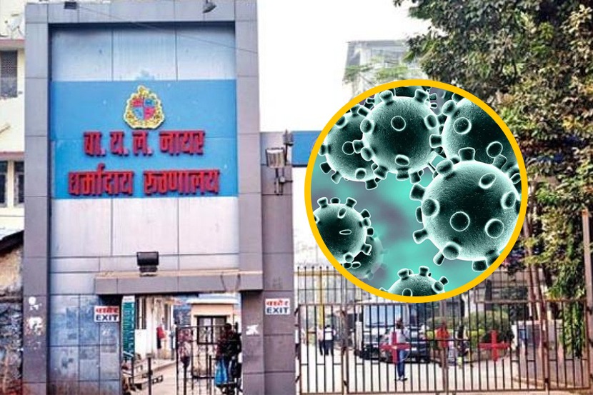 नायर बनणार आता करोना स्पेशालिटी रुग्णालय!