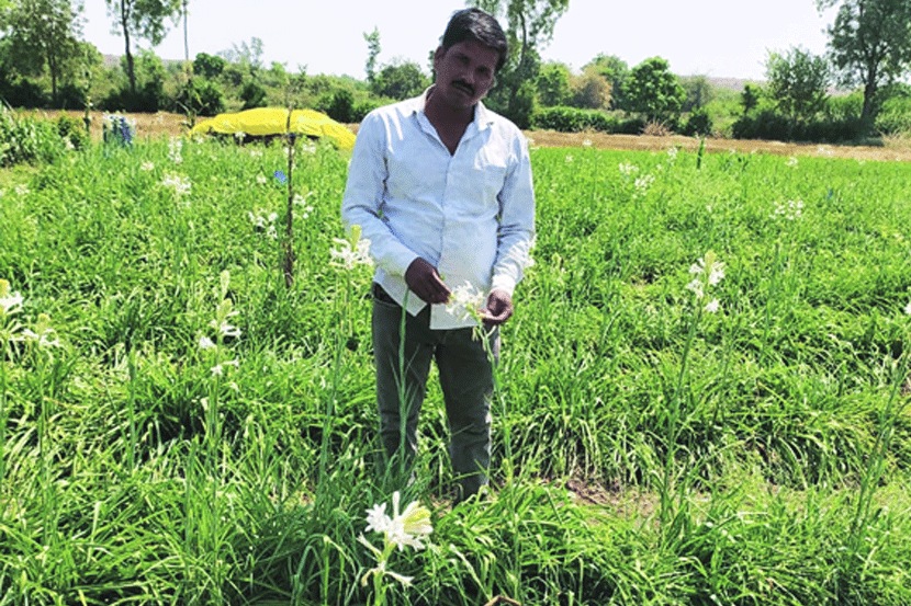 संग्रहित छायाचित्र