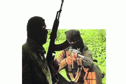  संग्रहित छायाचित्र