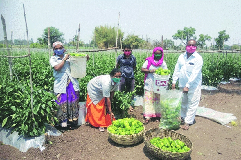 संग्रहित छायाचित्र