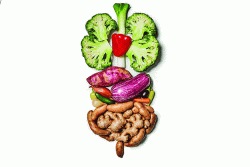 जडो मैत्र सूक्ष्मजिवांचे..