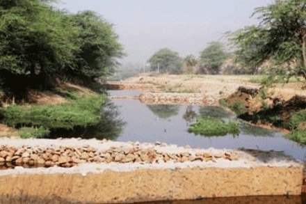  संग्रहित छायाचित्र