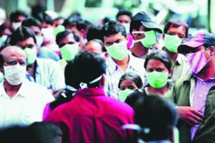  संग्रहित छायाचित्र