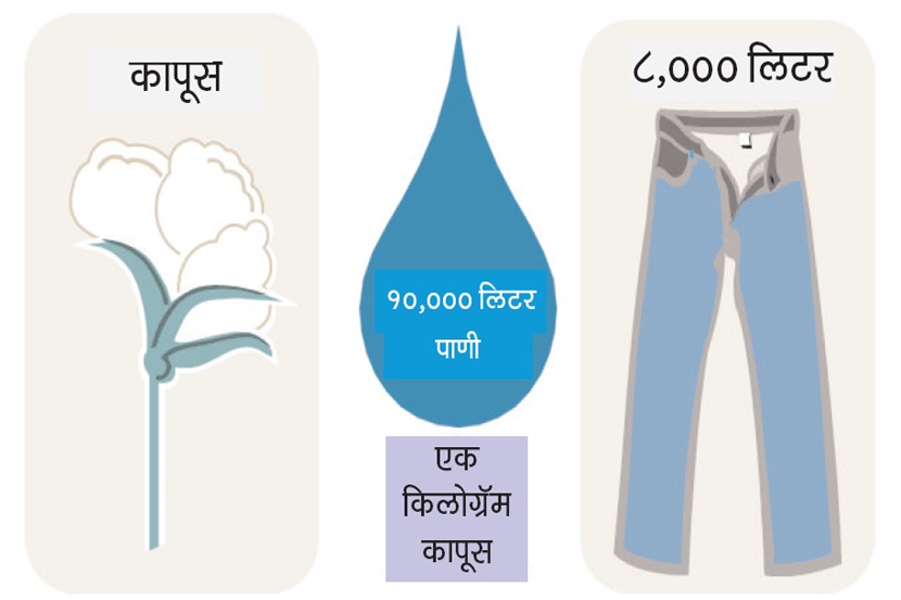  संग्रहित छायाचित्र