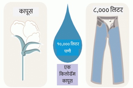  संग्रहित छायाचित्र