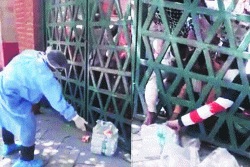 हेही आग्रा प्रारूपच!