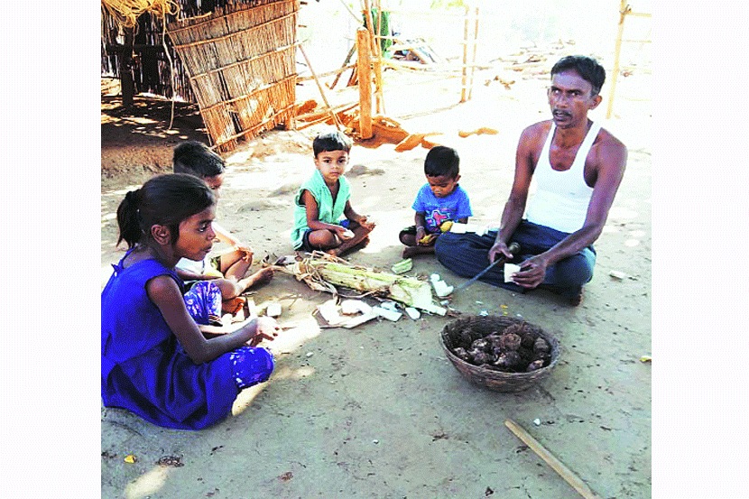  संग्रहित छायाचित्र