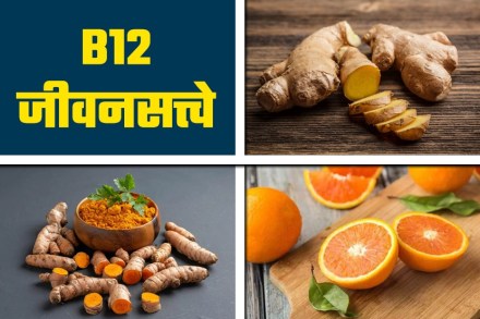 Coronavirus : करोनापासून वाचण्यासाठी आहारात करा ‘या’ पदार्थांचा समावेश