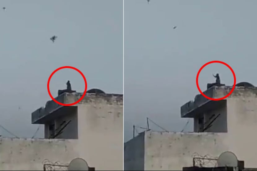 गच्चीवर माकडाची पतंगबाजी गच्चीवर माकडाची पतंगबाजी