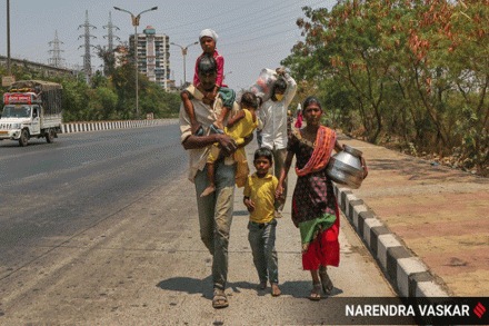  संग्रहित छायाचित्र