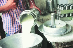 अतिरिक्त दूध खरेदीच्या निर्णयाने फटका