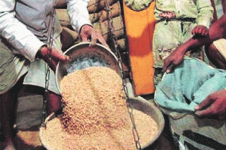  संग्रहित छायाचित्र