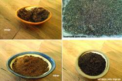 निसर्गलिपी : खते आणि रोपांची काळजी