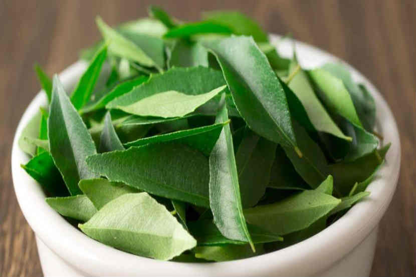 टाचांच्या भेगांपासून ते मासिक पाळीसंदर्भातील उपचारांपर्यंत… जाणून घ्या कढीपत्त्याचे १५ हून अधिक फायदे