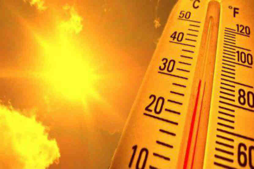 विदर्भात उष्णतेची लाट, नागपूरचे तापमान ४६.५ अंशांवर